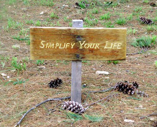 Simplifica tu vida por Robert Benner