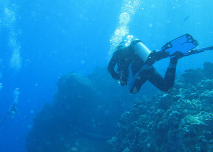 Derek Keats Seguir Diving
